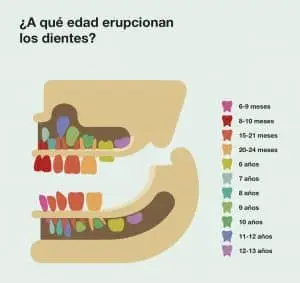 Aún no se le ha caído ningún diente