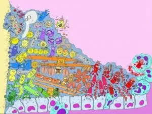 microbioma oral